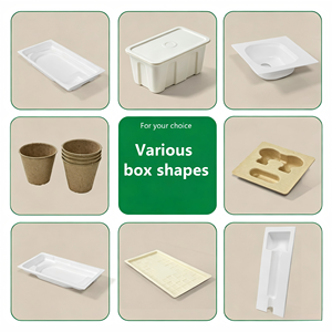 Cartón <span class=keywords><strong>de</strong></span> Huevos Biodegradable <span class=keywords><strong>de</strong></span> Papel, Caja <span class=keywords><strong>de</strong></span> Pulpa Reciclable para 6 Huevos, Empaque a Granel para Suministros Agrícolas - Product Image 5