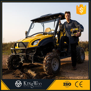 5000 와트 전기 UTV 해변 버기 가격 두 부드러운 좌석 UTV 판매 - Product Image 3