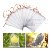 Witte Vlieg Tomaat Plant 50X50 Mesh Anti Tuin Tunnel Agrarische Insectengaas Voor Tuin Groenten Fruit Dadels