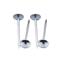 Paku Atap Anti Karat BWG9*2.5" BWG10*3" BWG9*2" dengan Tangkai Terpuntir dan Kepala Payung