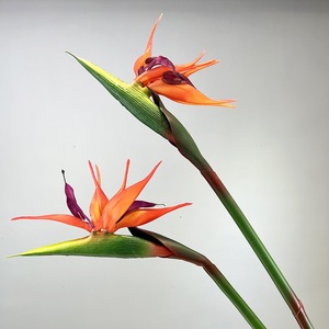 LO-1208 Vente en gros de <span class=keywords><strong>fleurs</strong></span> artificielles <span class=keywords><strong>Strelitzia</strong></span> (oignon d'Inde) à toucher réel de 85 cm pour la décoration des halls d'hôtel et des vitrines - Product Image 4