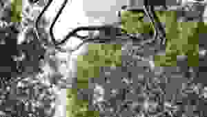 EFT EPS200Pro Granule Broadcaster Esparcidor de drones agrícolas con 360 ° Esparcimiento de gran flujo que garantiza una caída suave sin obstrucciones - Product Image 5