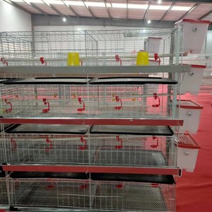 農業用バッテリー農場用ケージブローダーチキンハウスケージ層用鶏家禽設備クープレイヤー卵鶏ハウスケージ - Product Image 2