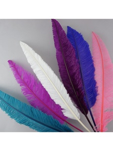 Pluma de avestruz teñida de 50 cm, plumas de nandú para tocados de novia, centros de mesa, decoración de jarrones, manualidades florales, sombrerería, AC8 - Product Image 1
