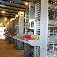 Cages à batterie automatiques de type H, cages galvanisées pour poules pondeuses dans les fermes avicoles