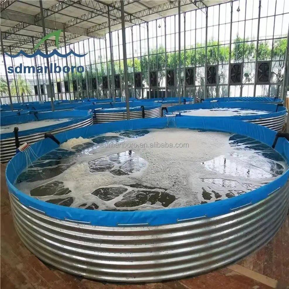 SDM High Density Recirculating Aquaculture System Fish Tanks Large Fish Farming Ponds PVC Fish Farm Tanks