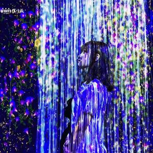 Projection d'art numérique multi-sensoriel Cartographie Projection murale interactive Salle de projection immersive - Product Image 6