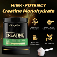 Creatina Monohidrato en Polvo, Apoyo al Crecimiento Muscular, Fuerza y Potencia, Resistencia al Ejercicio, Aumento de Energía, OEM ODM