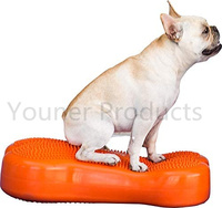 Dispositif d'entraînement d'équilibre dynamique de balle pour l'entraînement et l'ajustement de chien