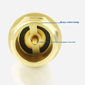 <span class=keywords><strong>Valvola</strong></span> <span class=keywords><strong>di</strong></span> Non ritorno verticale in ottone per prevenzione del riflusso-<span class=keywords><strong>valvola</strong></span> resistente per tubo dell'acqua/<span class=keywords><strong>scaldabagno</strong></span>/1/2 per serbatoio <span class=keywords><strong>di</strong></span> pressione " - 4" - Product Image 4