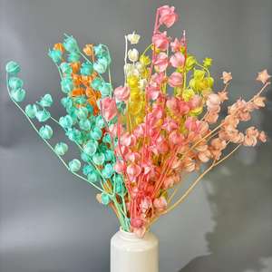 Vente chaude, fleurs préservées de bonne qualité, Poha, groseille à maquereau pour fleurs décoratives - Product Image 1