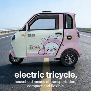 2026 Wholesale Electric <strong>Tricycle</strong> Mini 3-seater <strong>Adult</strong> New Energy Closed Body Vehicle for Rural Roads - Product Image 4