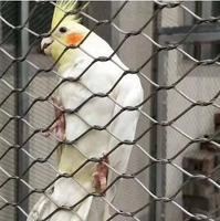 Filet en maille de câble métallique en acier inoxydable de haute qualité pour volière d'oiseau