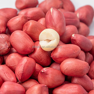 Nguyên đậu phộng hạt 50 kg số lượng lớn Da Đỏ vỏ đậu phộng giá mỗi tấn - Product Image 5