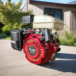 Оптовая продажа: Бензиновый двигатель TLJ 3.5 л.с., одноцилиндровый, с воздушным охлаждением, OHV, 4-тактный, для квадроциклов, мини-картингов и сельскохозяйственных опрыскивателей - Product Image 1