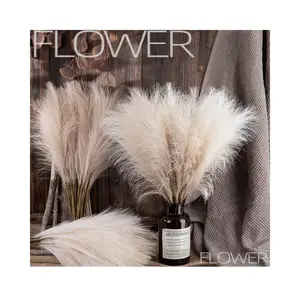 Artificial Flower Bouquet For Decoration and Gift 47cm Mini Natural Dried White Pampas Grass Arrangement