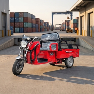 Triciclo Elettrico da Carico ad Alta Potenza, Veicolo Elettrico <span class=keywords><strong>a</strong></span> <span class=keywords><strong>Tre</strong></span> Ruote per Adulti con Lunga Autonomia - Product Image 1