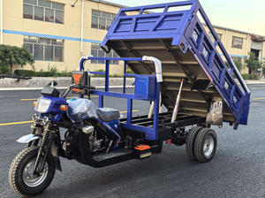 Camión Volquete Hidráulico de Doble Eje y Nueve Ruedas con Motocicleta de Tres Ruedas Flexible para Transporte Especial de Pasajeros - Product Image 2