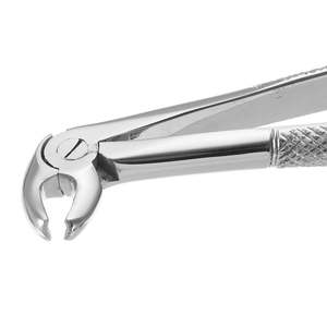 Foshan Meite Kit <span class=keywords><strong>Forceps</strong></span> ekstraksi gigi 10 buah/set kualitas tinggi untuk instrumen bedah gigi dewasa - Product Image 5