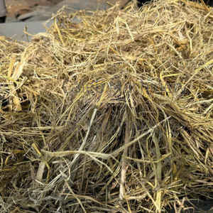 Broyeur de tiges de maïs agricole, <span class=keywords><strong>coupe</strong></span>-herbe et paille pour usage agricole, broyeur de foin, machine de dé<span class=keywords><strong>coupe</strong></span> à disque pour aliments du bétail - Product Image 5