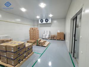 Grande chambre froide pour jambon cuit Pasteurisation de poisson Fonction de refroidissement par soufflage Noyau de roulement à engrenages de compresseur Copeland à énergie solaire - Product Image 4