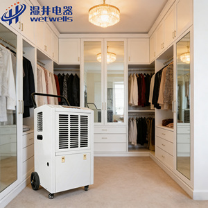 Deshumidificador Eléctrico Doméstico Blanco WETWELLS, Evita que la Ropa y los Artículos de Cuero se Empañ<span class=keywords><strong>en</strong></span> y se Enmoquen - Product Image 1