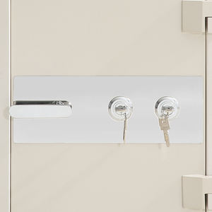 כספת ביתית גדולה ועמידה באש של Steelart עם מנעול מפתח, מבנה פלדה מגולגלת קרה לבטיחות הבית - Product Image 5