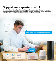 Suministro Directo de Fabricante Chino para Smart Life: Módulo de Interruptor de Pared Inteligente Mini Wi-Fi Zigbee 16A con Monitor de Energía y Relé Bidireccional para PC