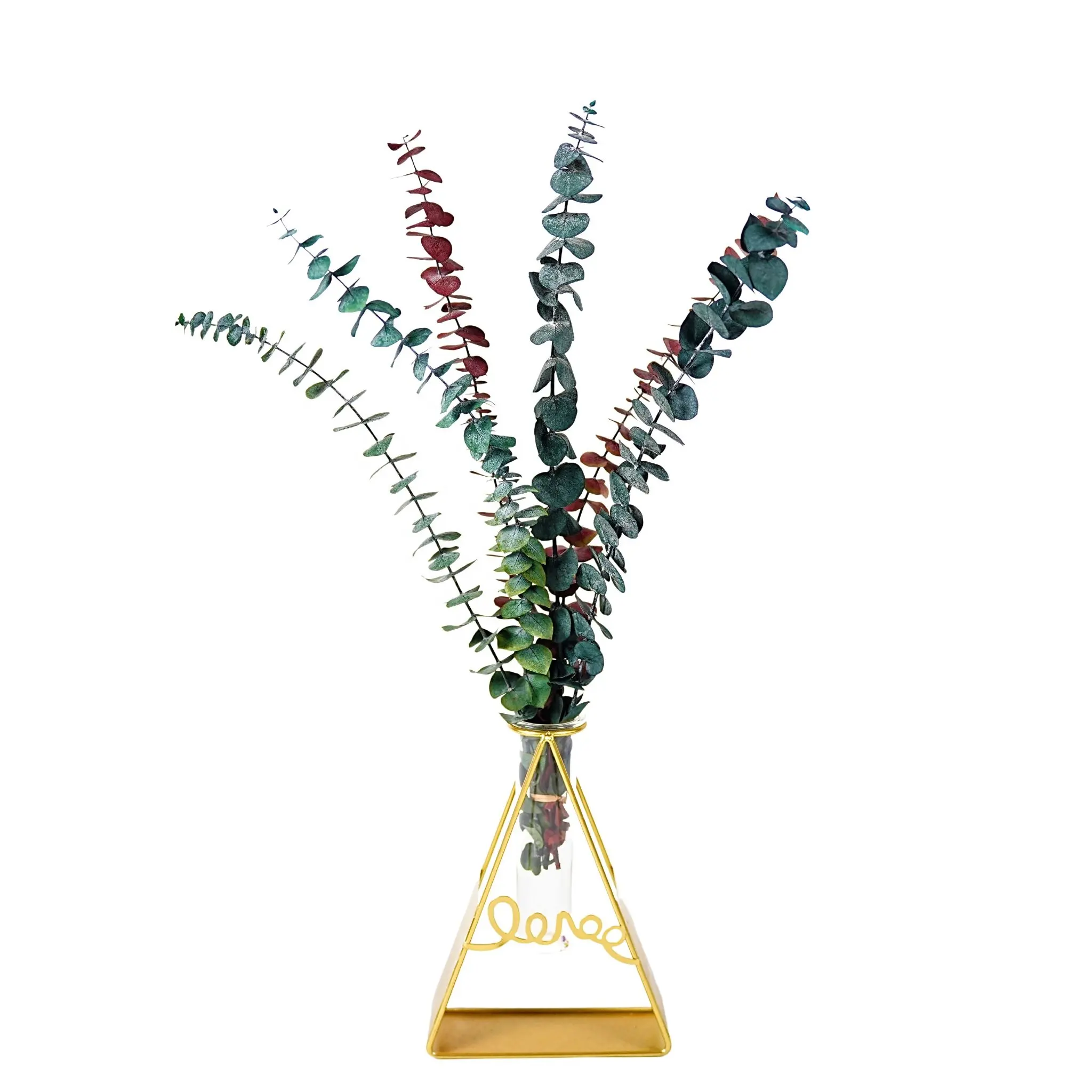 Campioni gratuiti di qualità eucaliptuscan foglie di decorazione per la doccia decorazioni per la casa piante aromatiche doccia lavanda