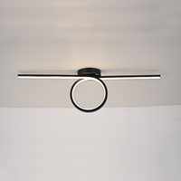 Plafonnier LED moderne OEM pour chambre et salon, éclairage décoratif intérieur en bande longue, base en fer, lumière du jour 6000K, 20000 heures, IRC80