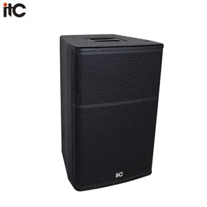 ITC专业音响系统供电15英寸扬声器亲音乐会盒