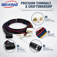 Harnais de câblage électronique personnalisés BeiXing avec isolation en PVC, indice de protection IP67, âme en cuivre pour motos et vélos