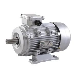 Fabricante eléctrico de la serie IE3 Motor eléctrico de inducción asíncrono de CA trifásico 4000W 300 rpm Motor de CA