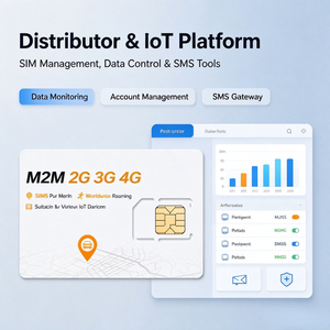 Carte SIM IoT de Roaming Mondial M2M 2G/3G/4G 3-en-1 pour Dispositif de Suivi GPS, Carte SIM de Données IoT avec Compte de Revendeur - Product Image 4