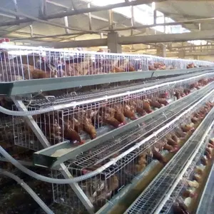 Sistema di progettazione a prezzi accessibili gabbia per polli a strati di uova da fattoria per pollame per polli da carne e pulcini