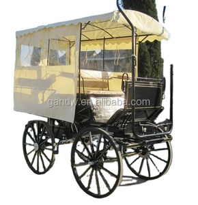 Maratón turístico, carruaje tirado por caballos - Product Image 2