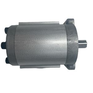 Pompe à engrenages double haute pression pour carburant diesel HuamaoChina OEM Factory Direct CBNF563-BFHL - Product Image 1