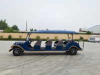 Voiture de tourisme électrique rétro personnalisée Elite 14 places, calèche royale classique, moteur 4 kW, autonomie 80-100 km, batterie lithium/plomb-acide