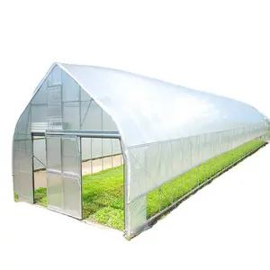 2023 Searea Agricultural Plastic Film Cover Kosten günstiges wirtschaft liches Tunnel gewächshaus für Gemüse