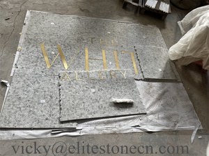 Mosaico <span class=keywords><strong>de</strong></span> Mármol Verde Hecho a Mano Personalizado, Medallón <span class=keywords><strong>de</strong></span> Mosaico con Chorro <span class=keywords><strong>de</strong></span> Agua, Letras <span class=keywords><strong>de</strong></span> Latón Dorado, Logotipo para Piso o Pared - Product Image 2