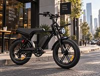 Vélo électrique V8 Pro 20 24 pouces à pneus larges, OEM/ODM/personnalisé/logo personnalisé/marque privée
