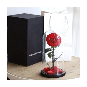 <span class=keywords><strong>Bella</strong></span> Rose, Flor Encantada en Cúpula <span class=keywords><strong>de</strong></span> Cristal, Decoración Elegante para el Hogar, Plant-FuncyFlora, Rojo, para Bodas, 12x20cm, Yunnan - Product Image 6