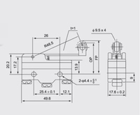 Micro-interrupteur à levier long Chinakel, type plastique IP41 250V 16A, électronique industrielle automobile, noir, garantie 6 mois, Z-15GW2-B