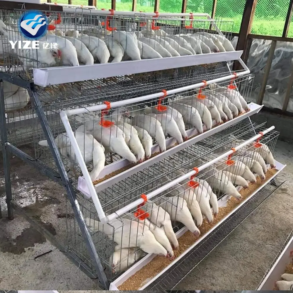 Pollo di allevamento gabbia/deposizione delle uova di gallina gabbia/gabbia di pollo per la vendita (produttore professionale)