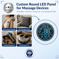 Panel de Pantalla LED de 7 Segmentos Personalizado Profesional para Silla de Masajes, Módulo de Temporizador de Doble Dígito para Equipos de Bienestar