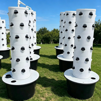 Grands systèmes hydroponiques écologiques et tours aéroponiques pour une agriculture durable et une économie d'eau