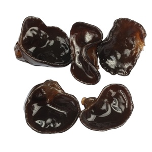 Hongo Negro Fresco/Agaric en Todos los Tipos de Hongos - Product Image 1