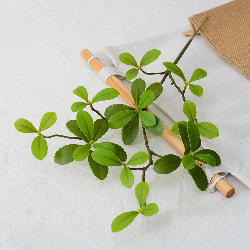 Vert printanier des îles