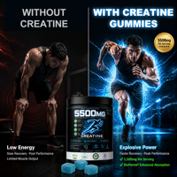 Gummies Énergétiques à la Créatine Monohydrate Haute Concentration pour Adultes – Soutien à la Récupération Musculaire et Force – Complément Nutritionnel Sportif OEM ODM