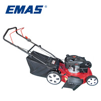 Tondeuse à gazon à poussée manuelle EMAS 2400W 5.0HP 1P65F Machine à couper le gazon pour le jardin